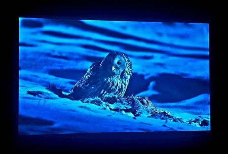 Bojevita kraljica noci 5